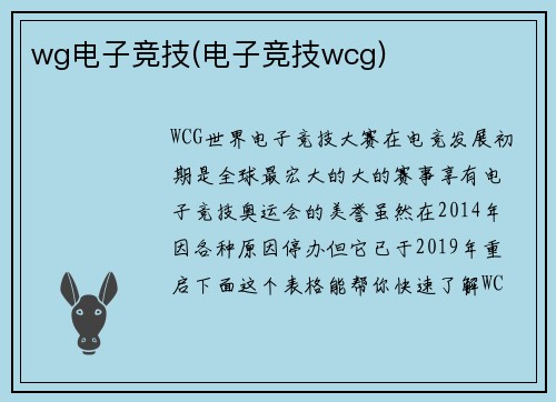 wg电子竞技(电子竞技wcg)